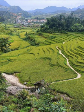 Homestay Núi Đá Tả Phìn
